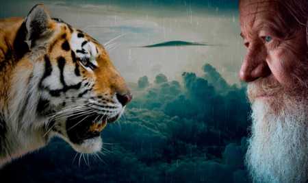 O que o mundo corporativo poderia aprender com os ensinamentos ancestrais? A competição x complementariedade