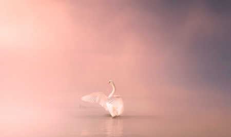 A aceitação do momento presente